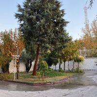 ۵۰۰ متر ویلایی، ۴ خواب، تراس بزرگ، شیراز، ونک|اجارهٔ خانه و ویلا|تهران, ونک|دیوار