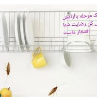 سمپاشی.صدردصدتضمینی سم پاشی سوسک وساس و...|خدمات نظافت|تهران, آذری|دیوار