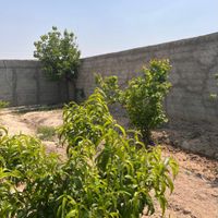 باغچه چهاردیواری در مجتمع باغستان دهشاد|فروش زمین و کلنگی|تهران, شهرک ولیعصر|دیوار