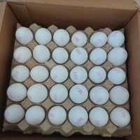 شرکت بازرگانی تهیه و توزیع انواع تخم مرغ سفید|خوردنی و آشامیدنی|اهواز, کوی مهدیس|دیوار