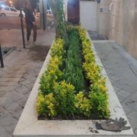 خدمات باغبانی باغچه کاری گلکاری درختکاری خاک گلدون|خدمات باغبانی و درختکاری|تهران, گیشا (کوی نصر)|دیوار