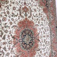 فرش ۱۲متری ۱۲۰۰شانه تراکم بالا  نرم و‌ طرح زیبا|فرش|تهران, جیحون|دیوار