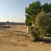 فروش ۲۰۰۰ متری در ملی راه|فروش دفتر صنعتی، کشاورزی، تجاری|اهواز, ملی راه|دیوار