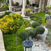 روف گاردن/ابیاری قطره ای/نگهداری فضای سبز/دیوارسبز|خدمات باغبانی و درختکاری|تهران, یوسف‌آباد|دیوار
