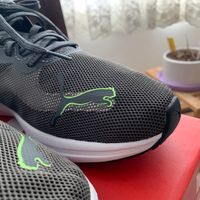 کتانی رانینگ پوما اورجینال puma|کیف، کفش، کمربند|تهران, توحید|دیوار