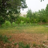 فروش باغ در کوهمره با ویو|فروش زمین و کلنگی|شیراز, احمدآباد|دیوار