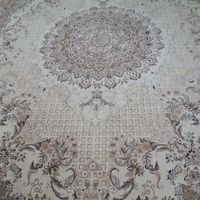 فرش شیک کرم گردویی|فرش|کرمانشاه, |دیوار