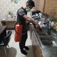 سمپاشی و باغبانی در سراسر تهران|خدمات باغبانی و درختکاری|تهران, مجیدیه|دیوار