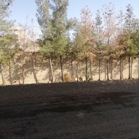 زمین 4 دیواری 280 متری مهراباد سنددار|فروش زمین و کلنگی|تهران, سرخه حصار|دیوار