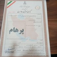 قالیشویی پرهام با خدمات ویژه در خدمت شماست|خدمات نظافت|تهران, شهرک راه‌آهن|دیوار