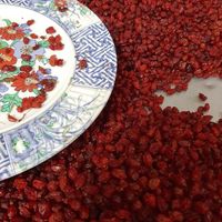 زعفران و محصولات ارگانیک شهرستان گناباد (تضمینی)|خوردنی و آشامیدنی|تهران, خزانه|دیوار