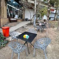 میز و صندلی ناهار خوری غذاخوری شاخ و برگی|میز و صندلی غذاخوری|تهران, جیحون|دیوار