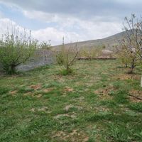 ۵۰۰ متر سند مشاعی تک برگ|فروش زمین و کلنگی|تهران, مسگرآباد|دیوار
