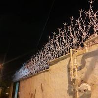 دزدگیر دیواری، بوته ای، شاخ گوزنی، نرده ای، فرفوژه|مصالح و تجهیزات ساختمان|شیراز, شهرک برزین|دیوار