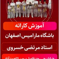 حضور یک جلسه‌ای در هر رشته باشگاه مارامیس|رویداد ورزشی|اصفهان, دشتستان|دیوار