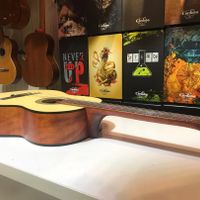 فروش گیتار ارجینال و برند|گیتار، بیس و امپلیفایر|مشهد, ابوطالب|دیوار