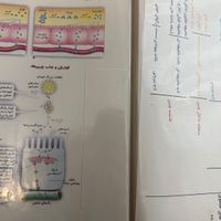 جزوه کامل و جامع زیست کنکور همراه جزوه رنگی|کتاب و مجله آموزشی|تهران, فاطمی|دیوار