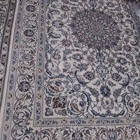 فرش دستباف ۶ متری|فرش|تهران, خواجه نصیر طوسی|دیوار