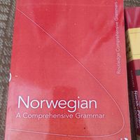 گرامر و فرهنگ نامه نروژی|کتاب و مجله آموزشی|تهران, شیان|دیوار
