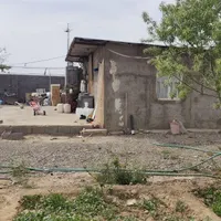 11هزار متر گلخانه/سند 6دانگ/فول امکانات/آب باریک|فروش دفتر صنعتی، کشاورزی، تجاری|جوادآباد, |دیوار