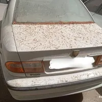 سمند LX EF7، مدل ۱۳۹۱|خودرو سواری و وانت|خورموج, |دیوار