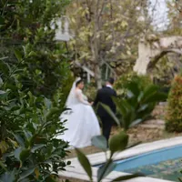 عکاسی و فیلمبرداری عروسی (فرمالیته)بااکیپی پرانرژی