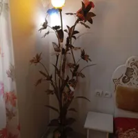 آباژور سالم و زیبا