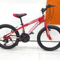 دوچرخه ۲۰ دنده ای و ساده