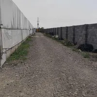 11هزار متر گلخانه/سند 6دانگ/فول امکانات/آب باریک|فروش دفتر صنعتی، کشاورزی، تجاری|جوادآباد, |دیوار