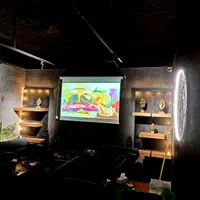 ویدئو پرژکتور دیتا چکی ویژه کافه،سفره خانه،رستوران