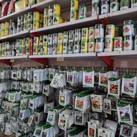 بذر سبزی صیفی گل گیاه بسترکاشت سینی نشا