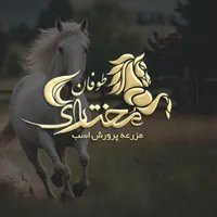 طراحی لوگو و آرم و برند بنر کارت ویزیت سربرگ|خدمات رایانه‌ای و موبایل|تهران, زعفرانیه|دیوار