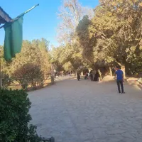 چاه عمیق دربست و ۱۰۰ هکتار زمین کشاورزی|فروش دفتر صنعتی، کشاورزی، تجاری|مشهد, ابوذر|دیوار