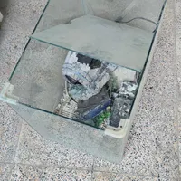 آکواریم