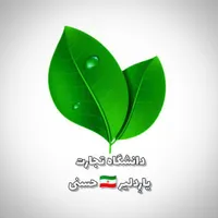 فرصت های پولساز در بازار ایران