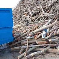 خریدار چوب درخت خرید چوب