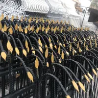 دزدگیر حافظ آهنی،فرفوژه سفید شاخ گوزنی