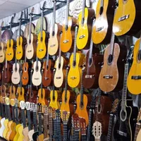 گیتار استاندارد آموزشی (سیم اورجینال کاپو هاردکیس)