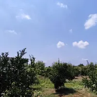 جذب سرمایه گذار برای کلبه سوئیسی|مشارکت در ساخت املاک|بابل, |دیوار