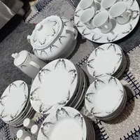 ظروف چینی