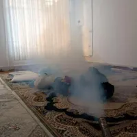 سمپاشی سم پاش ساس سوسک تضمینی صددرصد یک مرحله