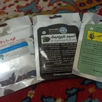گلدان و کود|گل و گیاه طبیعی|شوش, |دیوار