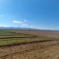۴۰۰۰ مترمربع زمین کشاورزی حاصلخیز|فروش دفتر صنعتی، کشاورزی، تجاری|تهران, حمزه‌آباد|دیوار