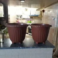 گلدان پلاستیکی نو