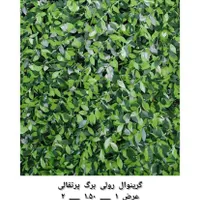 فنس برگ پرتقالی فنس برگ ریحون سنگ ریسه آکاردئون