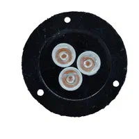 چراغ استخری و باغی فضای سبز