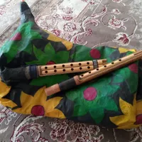 نی انبان