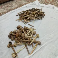 چپق وچوب سیگار