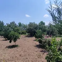 جذب سرمایه گذار برای کلبه سوئیسی|مشارکت در ساخت املاک|بابل, |دیوار