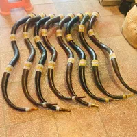 بوق،شیپور،دمام